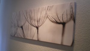 Pusteblume