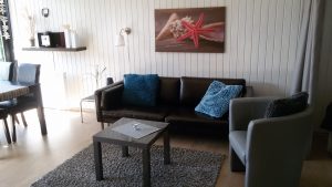 Ledersofa und Sessel