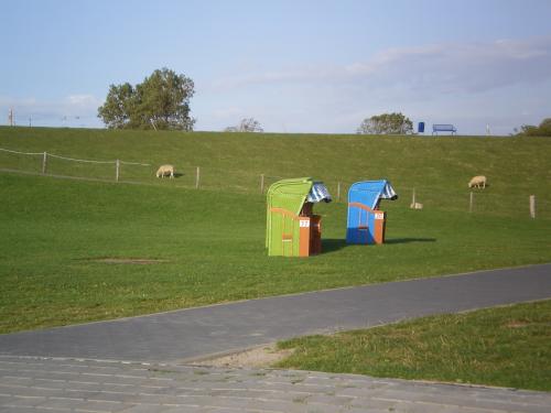 Strandkörbe, Deich und Schafe