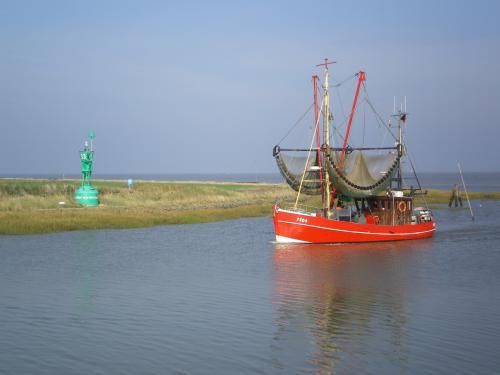 Fischkutter Fedderwardersiel