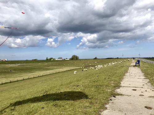 Deichblick bei Tossens