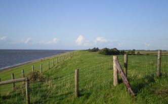 Weite Landschaft, grüner Deich und Meer, Deichland in Tossens / Butjadingen, Nordsee